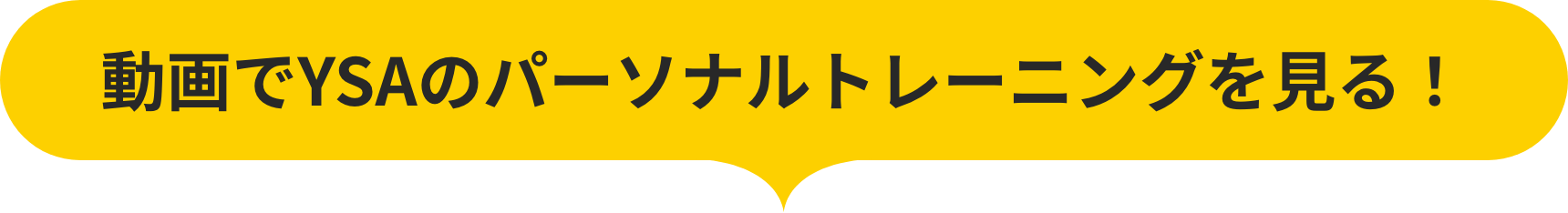 動画でYSAのパーソナルトレーニングを見る！